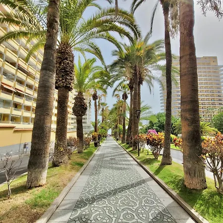 شقة Terrace - Only Adults - *